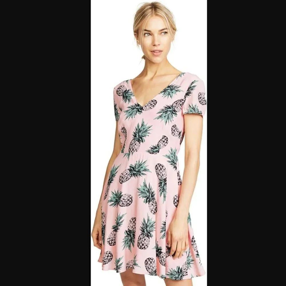 NWT BB Dakota Leni Pineapple Print Fit and Flare Dress in Pink Blossom | Size 6